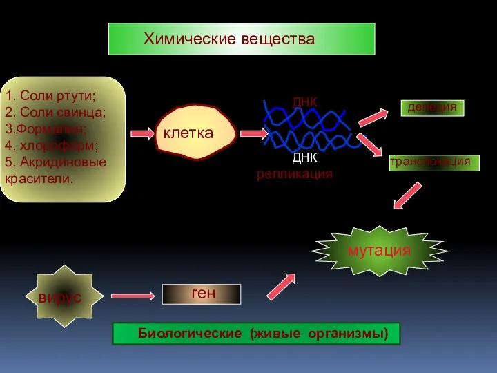 Химические вещества 1. Соли ртути; 2. Соли свинца; 3.Формалин; 4. хлороформ;