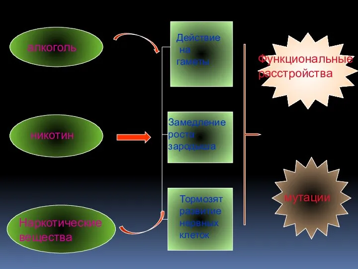 алкоголь никотин Наркотические вещества Действие на гаметы Замедление роста зародыша Тормозят