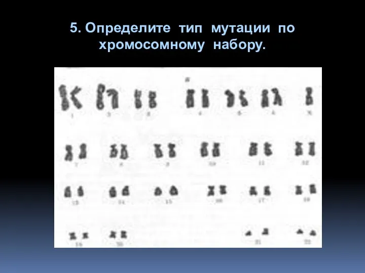 5. Определите тип мутации по хромосомному набору.