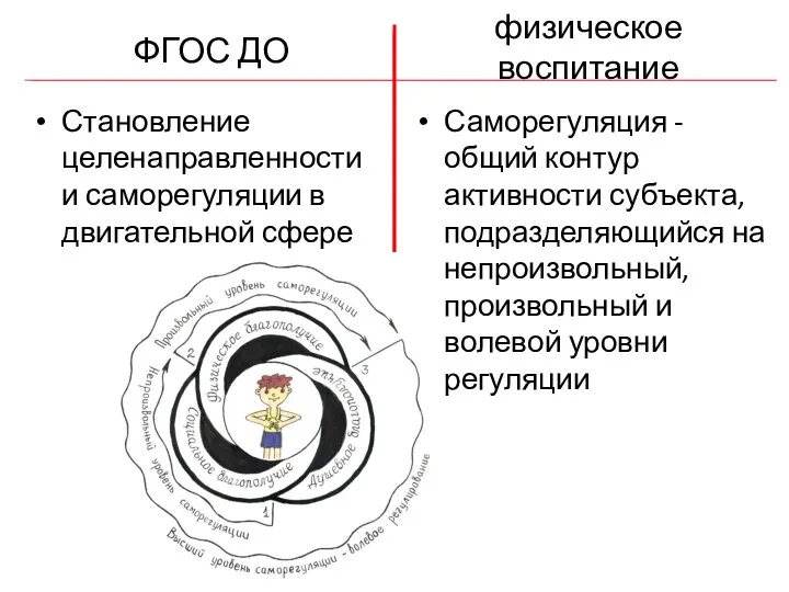 ФГОС ДО Становление целенаправленности и саморегуляции в двигательной сфере физическое воспитание