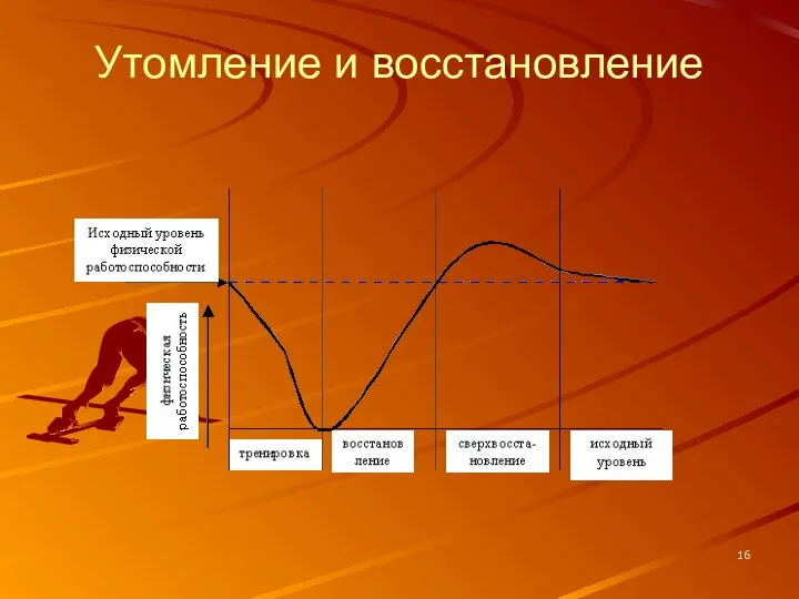 Утомление и восстановление