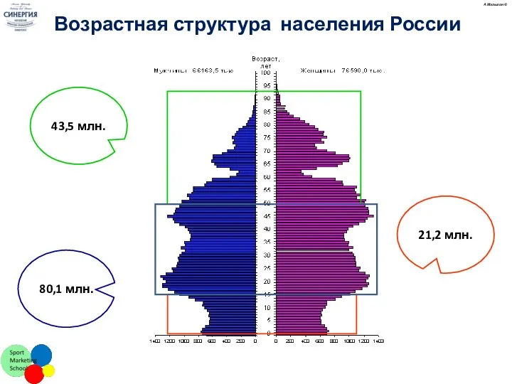 21,2 млн. Возрастная структура населения России 43,5 млн. 80,1 млн. А.Малыгин ©