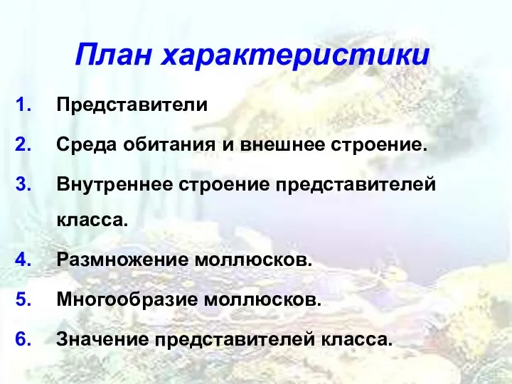 План характеристики Представители Среда обитания и внешнее строение. Внутреннее строение представителей