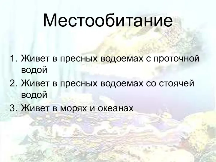 Местообитание Живет в пресных водоемах с проточной водой Живет в пресных