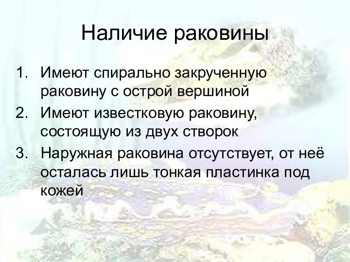 Наличие раковины Имеют спирально закрученную раковину с острой вершиной Имеют известковую