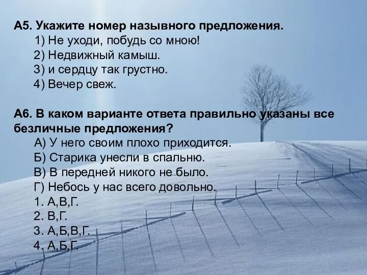 А5. Укажите номер назывного предложения. 1) Не уходи, побудь со мною!