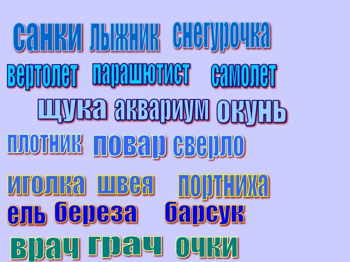 санки снегурочка лыжник вертолет парашютист самолет щука аквариум окунь плотник повар