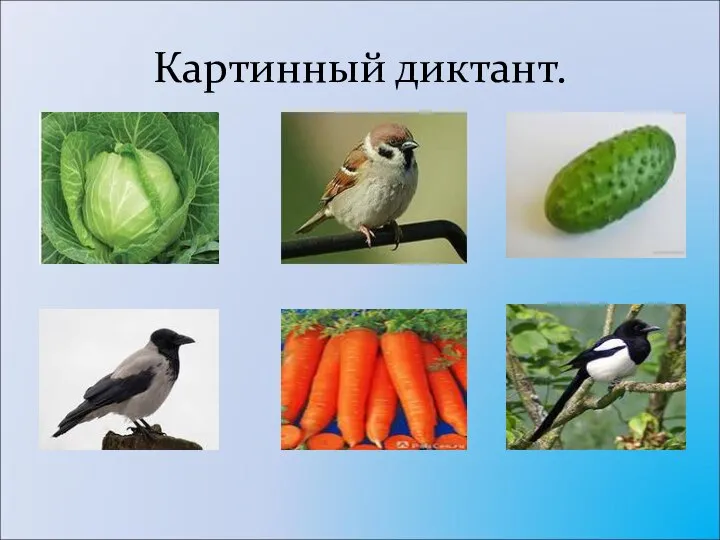 Картинный диктант.