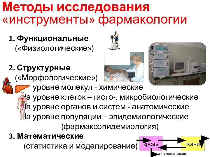 1. Функциональные («Физиологические») 2. Структурные («Морфологические») На уровне молекул - химические