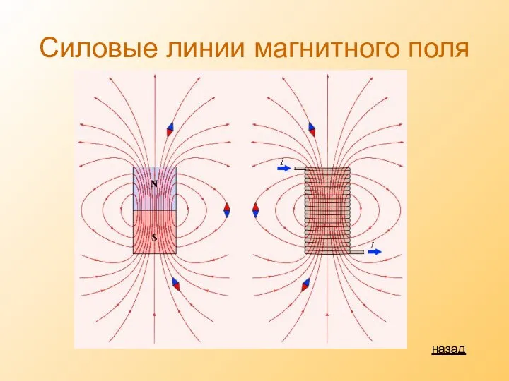 Силовые линии магнитного поля назад