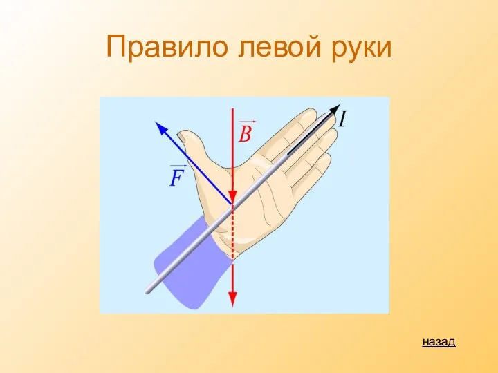 Правило левой руки назад