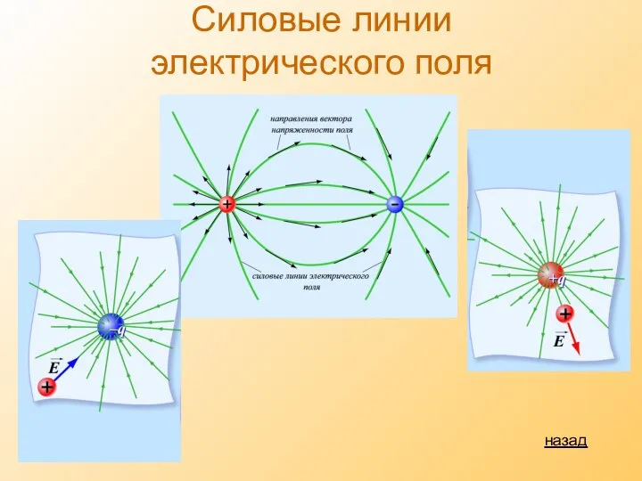 Силовые линии электрического поля назад