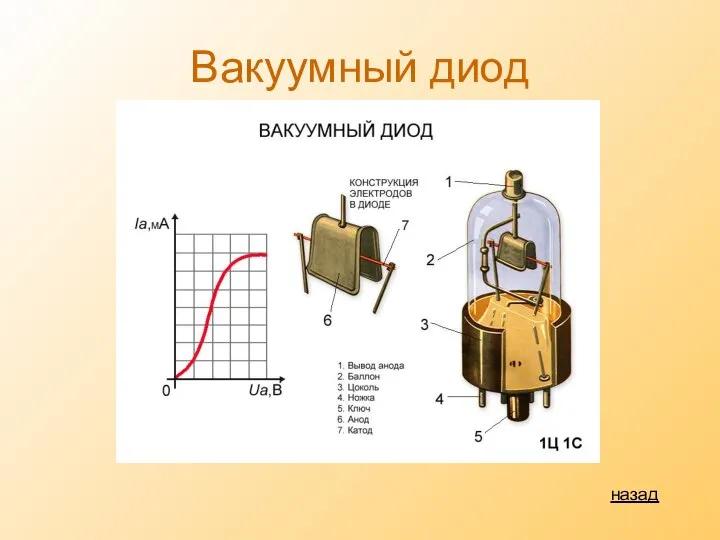 Вакуумный диод назад