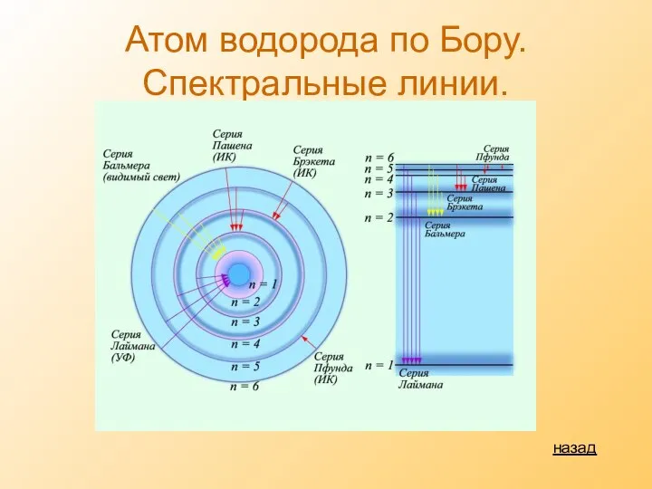 Атом водорода по Бору. Спектральные линии. назад