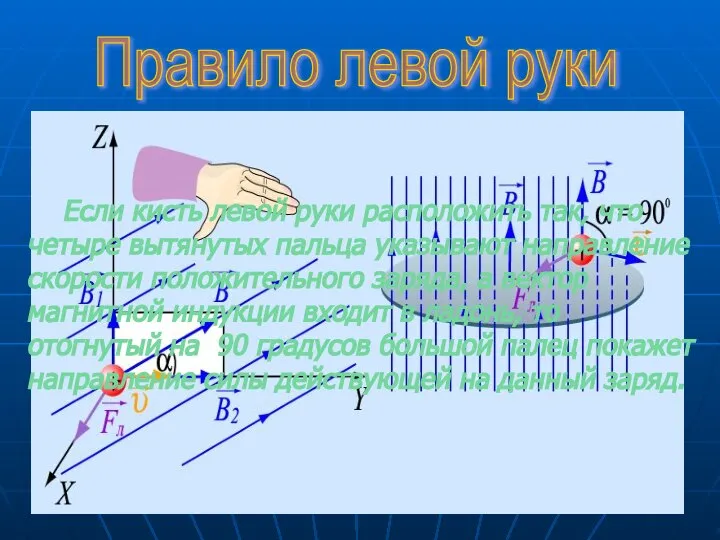 Правило левой руки Если кисть левой руки расположить так, что четыре