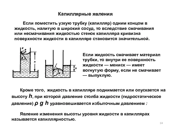 Капиллярные явления Если поместить узкую трубку (капилляр) одним концом в жидкость,