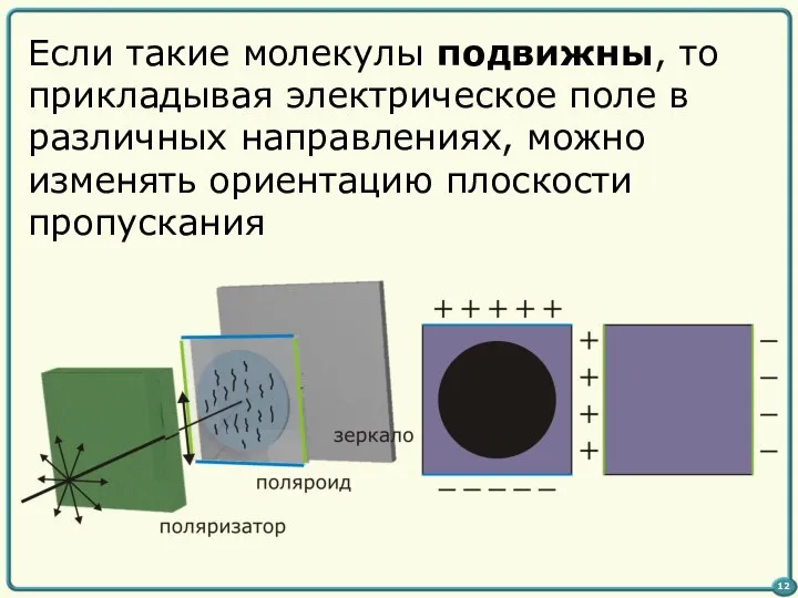 Если такие молекулы подвижны, то прикладывая электрическое поле в различных направлениях,