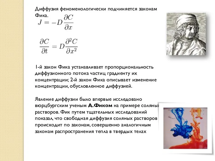 Диффузия феноменологически подчиняется законам Фика. 1-й закон Фика устанавливает пропорциональность диффузионного