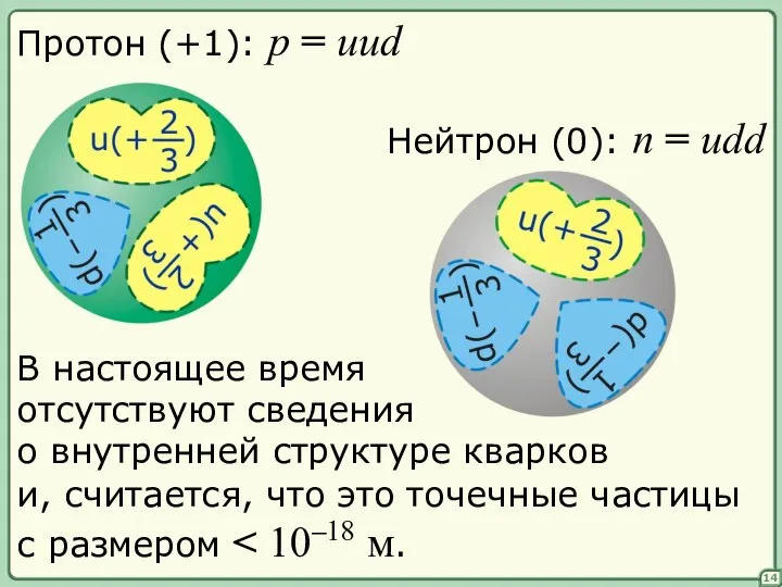 14 Протон (+1): p = uud Нейтрон (0): n = udd
