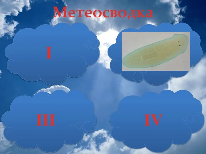 II III I IV Метеосводка