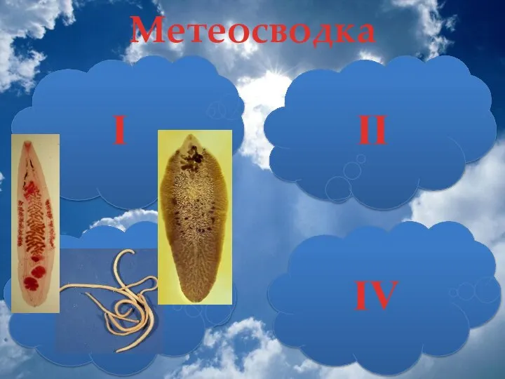 III I II IV Метеосводка