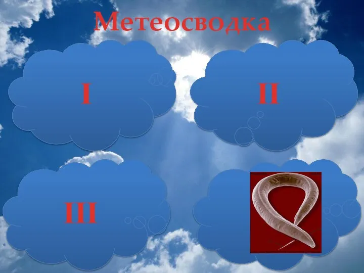 IV III I II Метеосводка