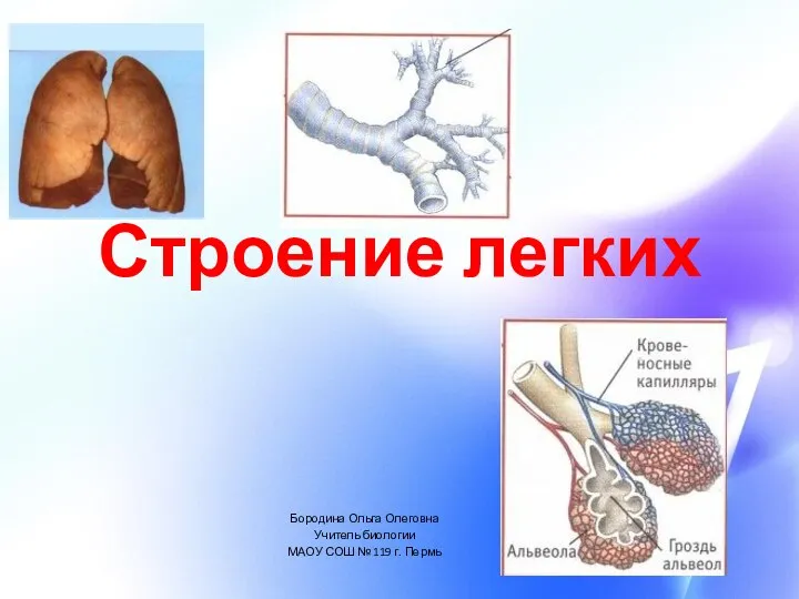 Строение легких Бородина Ольга Олеговна Учитель биологии МАОУ СОШ № 119 г. Пермь