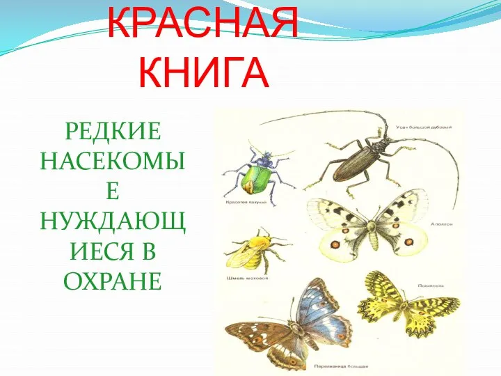 КРАСНАЯ КНИГА РЕДКИЕ НАСЕКОМЫЕ НУЖДАЮЩИЕСЯ В ОХРАНЕ