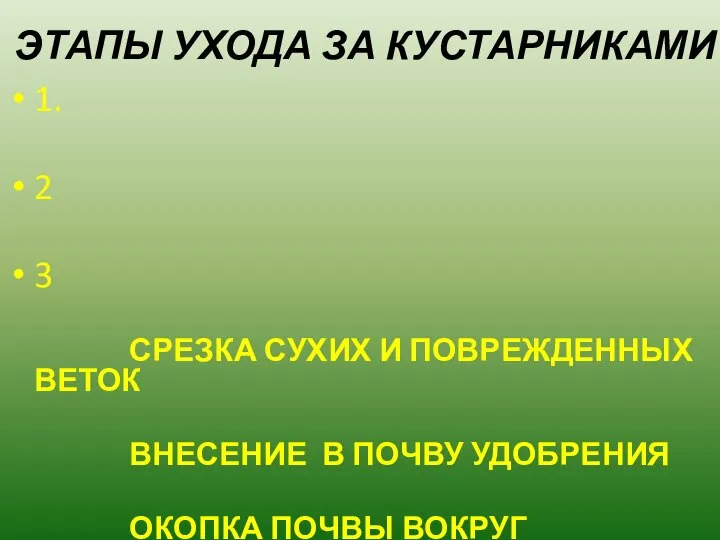 ЭТАПЫ УХОДА ЗА КУСТАРНИКАМИ 1. 2 3 СРЕЗКА СУХИХ И ПОВРЕЖДЕННЫХ