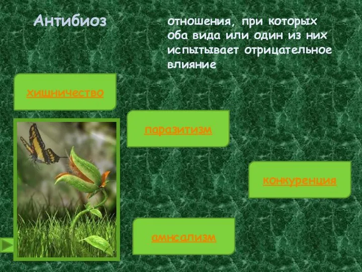 Антибиоз отношения, при которых оба вида или один из них испытывает