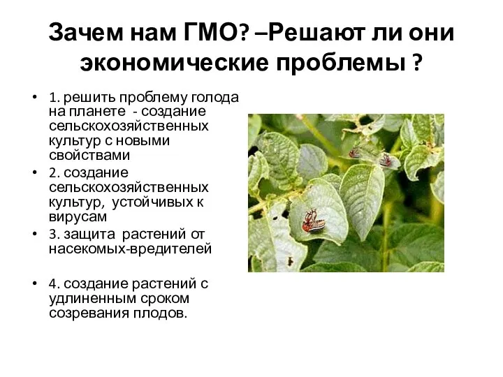 Зачем нам ГМО? –Решают ли они экономические проблемы ? 1. решить