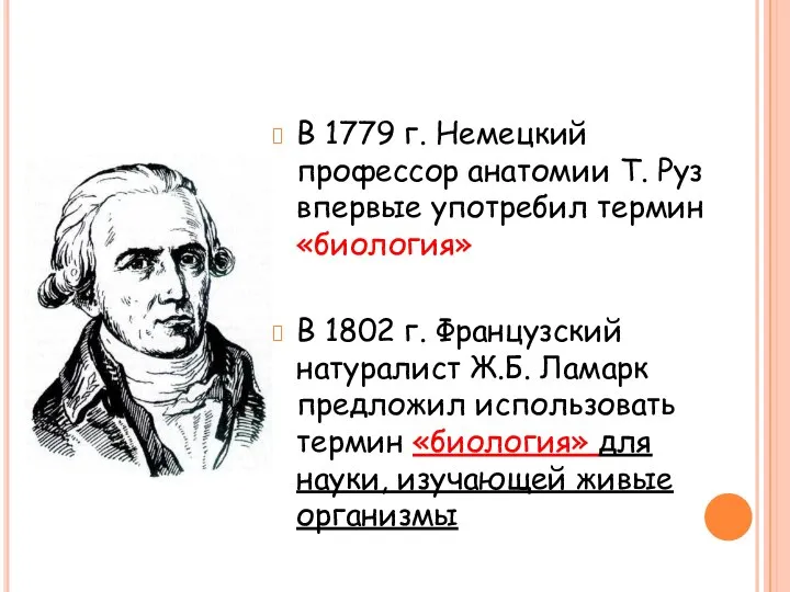 В 1779 г. Немецкий профессор анатомии Т. Руз впервые употребил термин