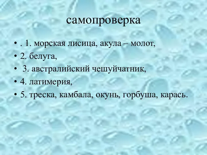 самопроверка . 1. морская лисица, акула – молот, 2. белуга, 3.