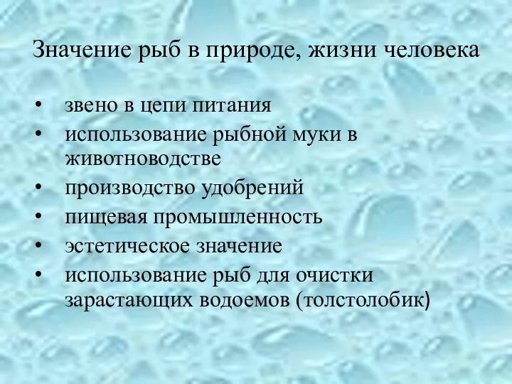 Значение рыб в природе, жизни человека звено в цепи питания использование