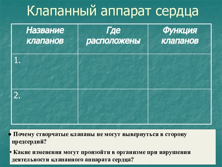 Клапанный аппарат сердца Почему створчатые клапаны не могут вывернуться в сторону