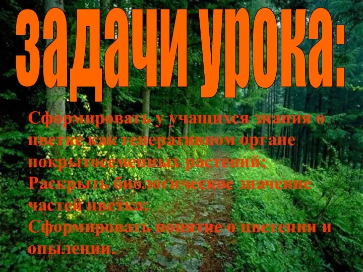 Сформировать у учащихся знания о цветке как генеративном органе покрытосеменных растений;