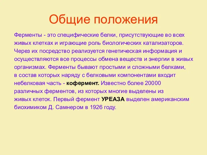 Общие положения Ферменты - это специфические белки, присутствующие во всех живых