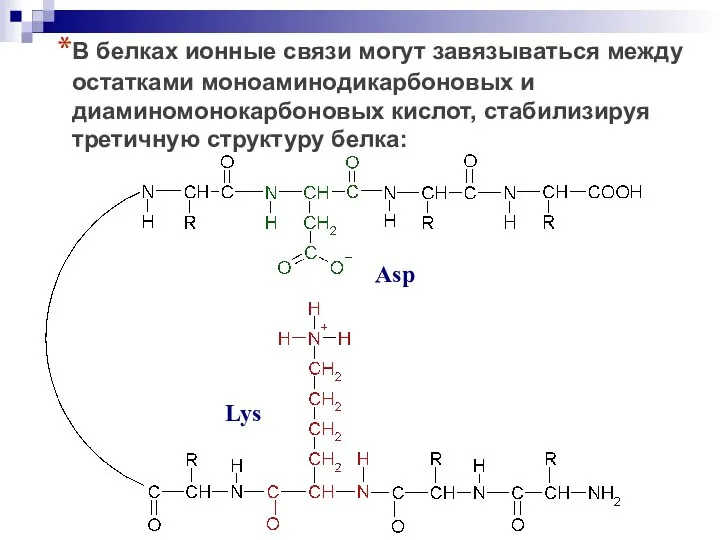 В белках ионные связи могут завязываться между остатками моноаминодикарбоновых и диаминомонокарбоновых