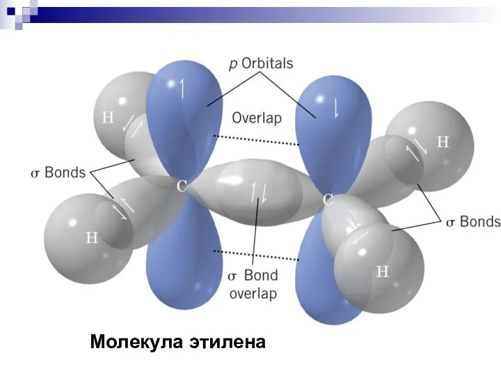 Молекула этилена