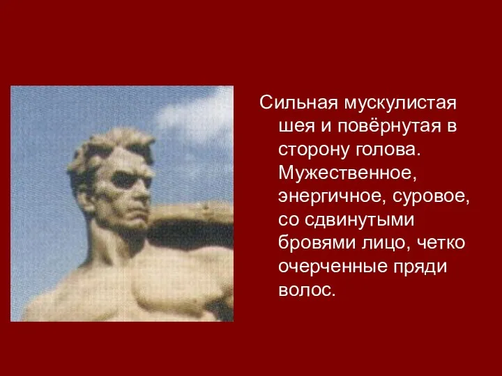 Сильная мускулистая шея и повёрнутая в сторону голова. Мужественное, энергичное, суровое,