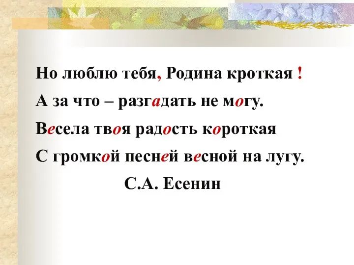 Но люблю тебя, Родина кроткая ! А за что – разгадать