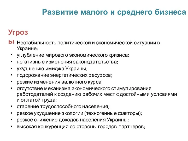 Развитие малого и среднего бизнеса Нестабильность политической и экономической ситуации в