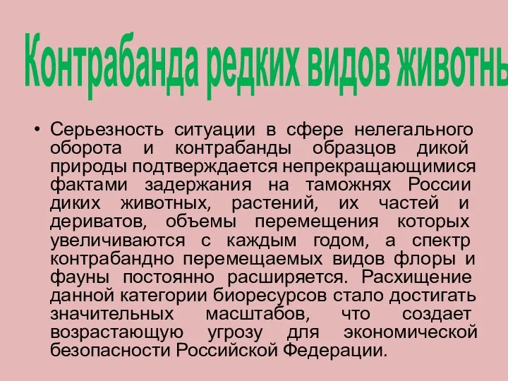 Контрабанда редких видов животных. Серьезность ситуации в сфере нелегального оборота и