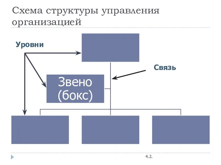 Схема структуры управления организацией Связь Уровни 4.2.