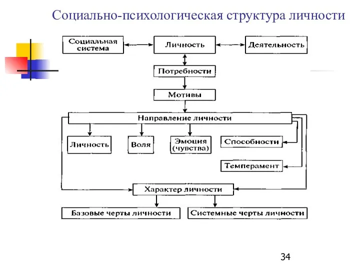 Социально-психологическая структура личности