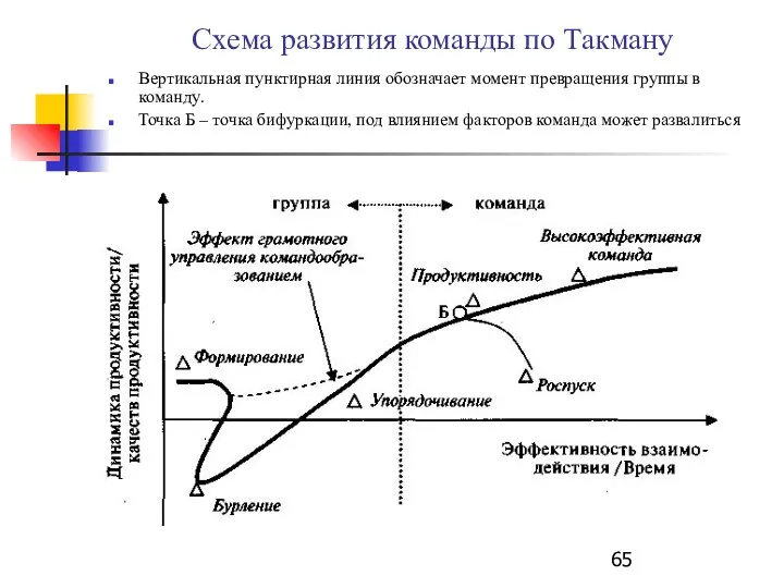 Схема развития команды по Такману Вертикальная пунктирная линия обозначает момент превращения