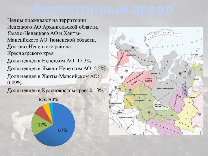 Автохтонный ареал Ненцы проживают на территории Ненецкого АО Архангельской области, Ямало-Ненецкого