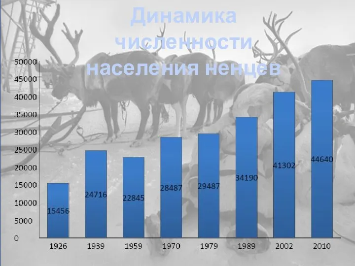 Динамика численности населения ненцев