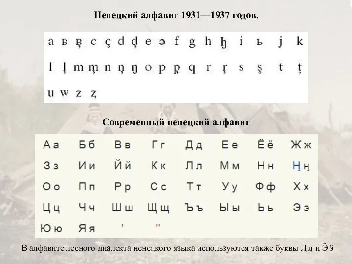 В алфавите лесного диалекта ненецкого языка используются также буквы Ӆ ӆ