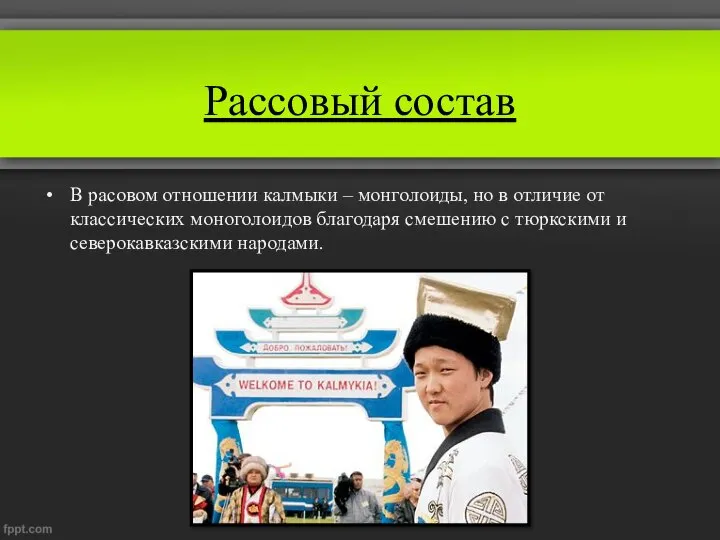 Рассовый состав В расовом отношении калмыки – монголоиды, но в отличие